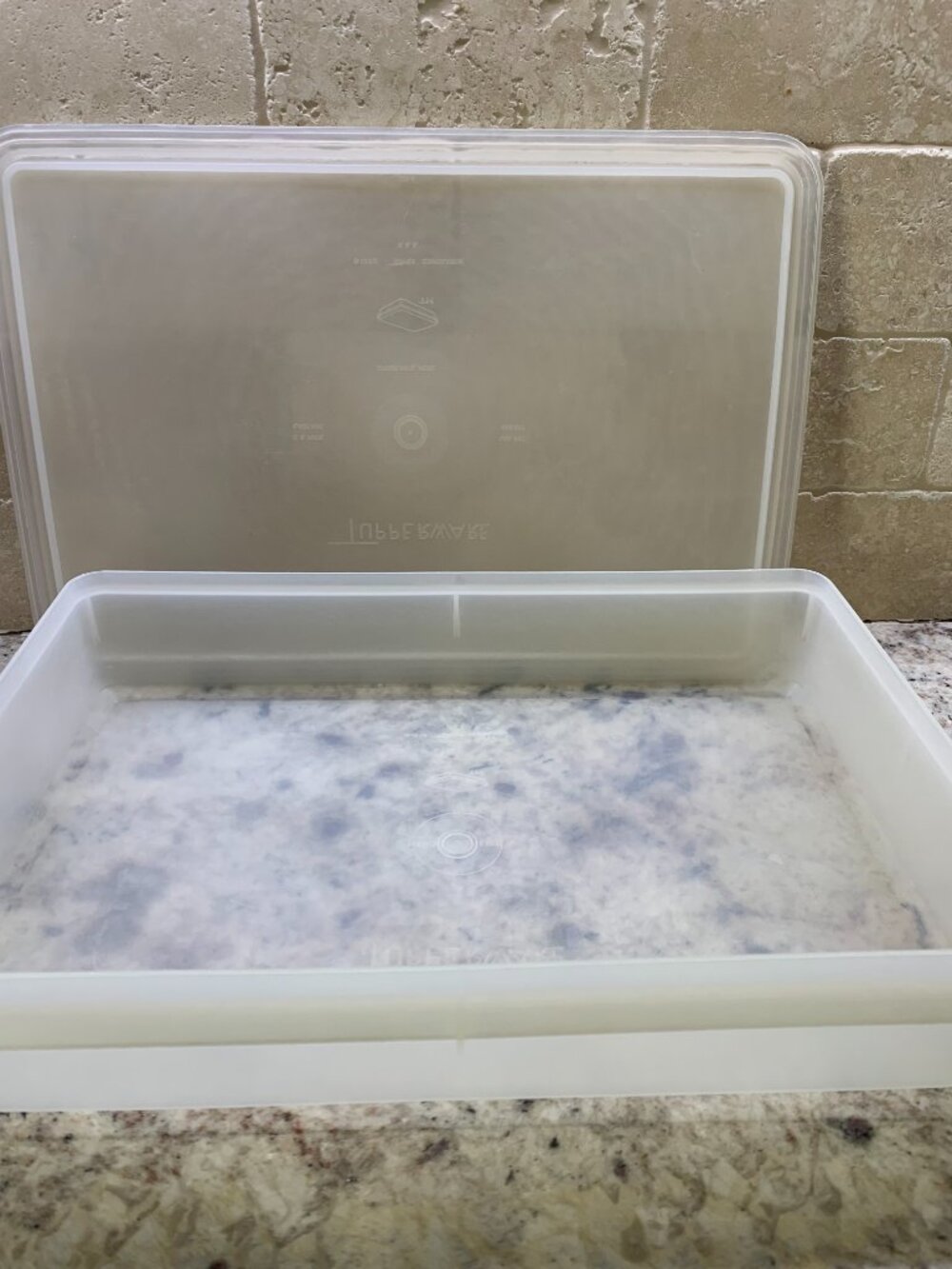 Vintage Tupperware Keeper #290-2 Storage with lid